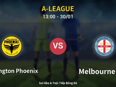 Kết Quả: Wellington Phoenix 2-2 Melbourne City – Highlight & Bàn Thắng | A-League