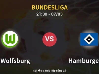 🔴 Trực Tiếp: VfL Wolfsburg 0-0 Hamburger SV – Link Xem Bundesliga (Full HD)