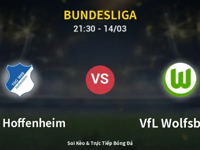 🔴 Trực Tiếp: 1899 Hoffenheim 0-0 VfL Wolfsburg – Link Xem Bundesliga (Full HD)