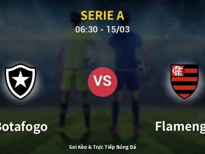 Kết Quả: Botafogo 0-3 Flamengo – Highlight & Bàn Thắng | Serie A