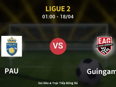 Kết Quả: PAU 2-1 Guingamp – Highlight & Bàn Thắng | Ligue 2