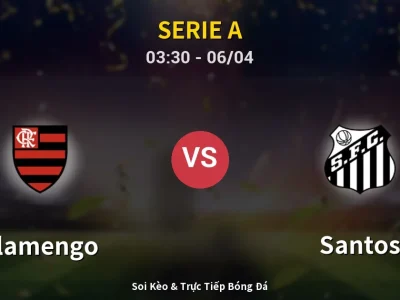 Kết Quả: Flamengo 3-1 Santos – Highlight & Bàn Thắng | Serie A