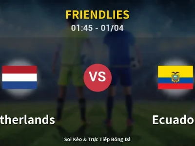 Kết Quả: Netherlands 1-1 Ecuador – Highlight & Bàn Thắng | Friendlies