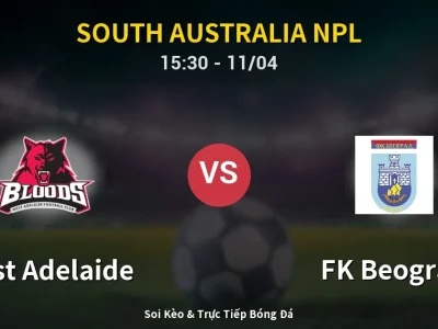 Soi Kèo West Adelaide vs FK Beograd – 15:30 11/04 | Nhận Định, Dự Đoán Tỷ Số